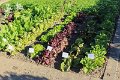 30.09.18 03-47 Tag_der_Regionen_2018-Tag d Region 2018 A (12)-011